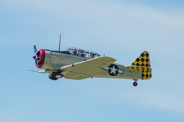 warbird, propeller, airplane, nature, aircraft, air, plane, military, old, vintage, retro, sky, war, flight, fighter, army, vehicle, flying, engine, transportation, airport, design, transport, classic, industry, technology, wings, aerospace, battle, oldtimer, bomber, industrial, veteran, warrior, game, sport, wwii, t6, texan, blue gaming, blue game, blue army, blue games, blue retro, blue war, blue industry